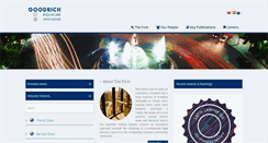 Desktop Screenshot of goodrichriquelme.com